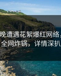大V在昨晚遭遇花絮爆红网络，微密圈全网炸锅，详情深扒