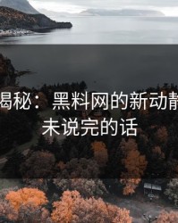 意外的揭秘：黑料网的新动静，那句未说完的话